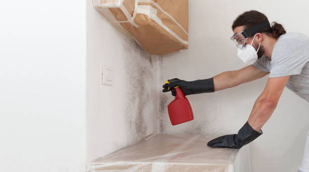 Professional Commercial Mold Remediation technician working in Caldwell, TX