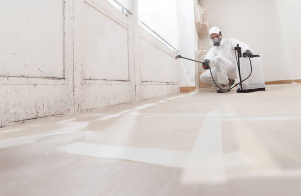 24/7 Emergency Commercial Mold Remediation experts in Caldwell, TX