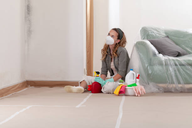 Reliable Commercial Mold Remediation contractor in Caldwell, TX by Car Mold Remediation